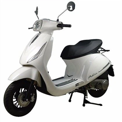Adult Scooter